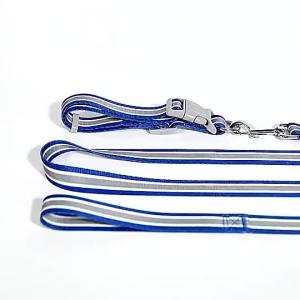 Colour Walking Dog Rope Large Medium And Small Dog Traction Rope Snap On  Collar Nylon Dog Strap