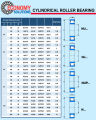NUP205 NUP305 ตลับลูกปืนเม็ดทรงกระบอก Cylindrical Roller Bearings / NU / NUP205EM NUP305EM. 