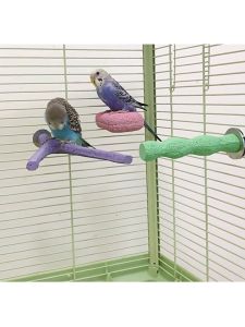 Pedicure Candy Stone Perch For Bird Parrot Asah Kuku Paruh / Pedicure Parrot