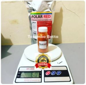 Polar Red Isi Bersih 50 Gram Artemia Instant Shell Polared 50gr 50gram