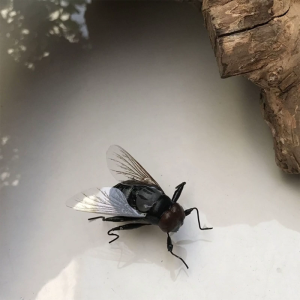 แม่เหล็กแม่เหล็กตู้เย็นขนาดเล็กแม่เหล็กติดตู้เย็นแข็งแรงไวท์บอร์ดแม่เหล็กเหมาะสำหรับสำนักงานครัวในบ้าน