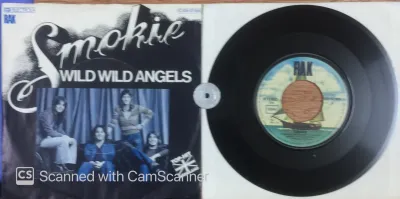 stereomate - Đĩa than - Single Vinyl - 7 inch 45RPM: Smokie - Wild Wild Angels