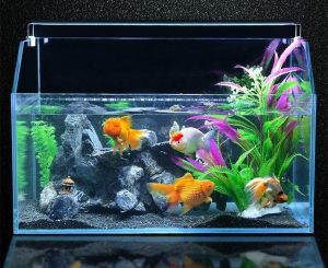 Đèn máng 3W cho hồ bể cá cảnh 20 - 30 cm Led XML-20 ánh sáng trắng cao cấp