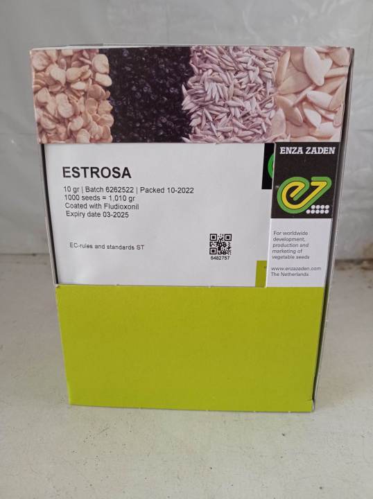 Enza Zaden Estrosa Variety Lollo Bionda Lettuce Seeds 10 Grams Original Pack Lazada Ph 4215