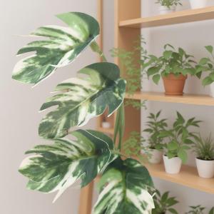 QUANSEN 1 12 Dollhouse Simulation Monstera Green Plant Potted Dollhouse Home Decoration Micro Landscape Garden Bonsai Model