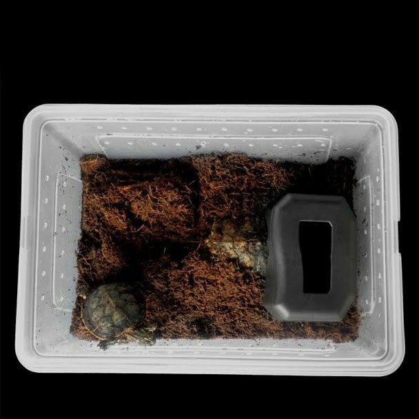 Hang%20tr%C3%BA%20%E1%BA%A9n%20cho%20b%C3%B2%20s%C3%A1t%20nh%E1%BB%87n%20b%E1%BB%8D%20c%E1%BA%A1p%20r%E1%BA%BFt%20c%C3%B3%20khay%20%C4%91%E1%BB%B1ng%20n%C6%B0%E1%BB%9Bc%20v%C3%A0%20gi%E1%BB%AF%20%E1%BA%A9m%20-%20Image%207