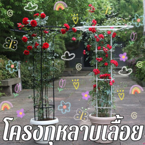ซุ้มกุหลาบ ซุ้มกุหลาบเลื้อย โครงกุหลาบเลื้อย ท่อเหล็กเคลือบ ซุ้มไม้เลื้อย /Home_Master