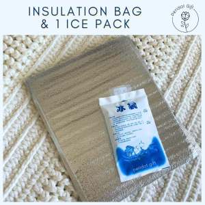 Insulation Bag & Ice packs - for Add On chocolate order