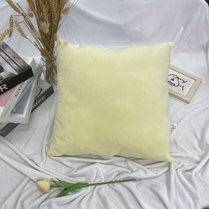 หมอนสีสวย หมอนอิง ผ้านุ่ม ผ้าขน ของตกแต่งบ้าน ตกแต่งห้อง หลากหลายสีสัน ผ้าไมโครป้องกันไรฝุ่น ใช้ใยสังเคราะห์คุณภาพดี จัดส่งในไทย