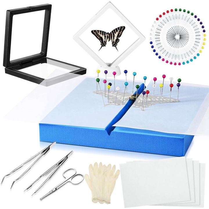 【SR6】-Insect Specimen Tool Kit Butterfly Specimen for Classroom ...