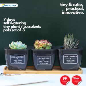 NEXCAM Self watering translucent PP planter pots set of 3 with Bamboo Tray Base for indoor tiny herb plants violets succulents & Office  Home Decor