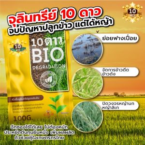 10ดาว BIO หัวเชื้อจุลินทรีย์ สูตรเข้มข้น ย่อยสลายฟาง ข้าวดีด ข้าวเด้ง (ขนาด 100 กรัม 1 ซอง )