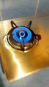 Stainless Steel Gas Stove Built-in /Tabletop Double Burner Cooker Liquefied Hob Gas Stove Dapur Gas 不锈钢燃气灶