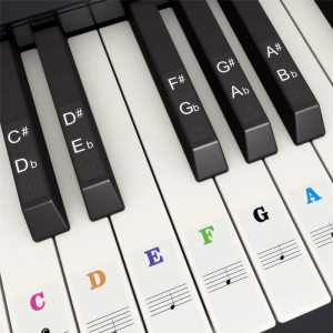 49/54/61/88 Key Colorful Pianos Keyboards Stickers Notes Electronic Keyboard Key Piano Stave Note Sticker Symbol for White Keys