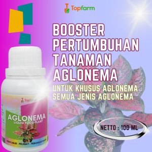 Pupuk Tanaman Hias Daun Bunga / Pupuk Khusus Tanaman Aglonema / Pupuk Khusus Aglonema / Pupuk Aglonema Untuk Daun Akar / Pupuk Aglonema Cepat Beranak