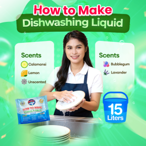 Wise Cleaner Regular DIY Dishwashing Liquid Kit 15-16L for Home Refill and Negosyo