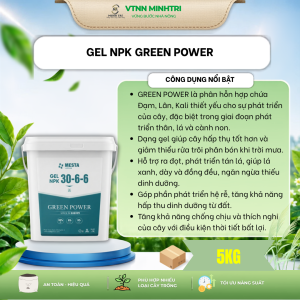 Gel NPK Green Power Mesta 30-6-6 5kg - Hỗ trợ ra đọt phát triển tán lá giúp lá xanh dày sinh trưởng đồng đều giúp ngăn ngừa các hiện tượng thiếu dinh dưỡng ở cây trồng.