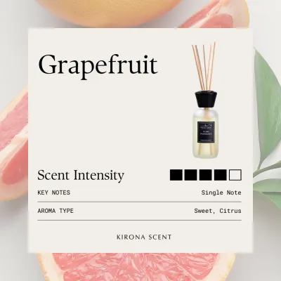 [KIRONA SCENT] Spa White Reed Diffuser 110ml | Aromatherapy Home & Office Fragrances Decor Gifts | Luxurious Hotel Mall & Perfume Scents