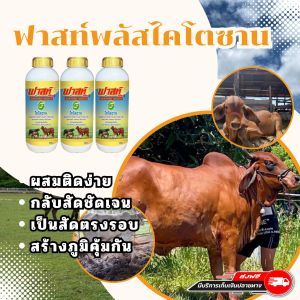 สูตรผสมติดง่าย สัตว์แข็งแรง ร่าเริง ลักษณะดี มีภูมิคุ้มกัน ฟาสท์ริช168 ไคโตซานฟาสท์พลัส เซต3ขวด สินค้าพร้อมจัดส่งใน 1 วัน สินค้าจัดส่งจากบริษัทแท้100%