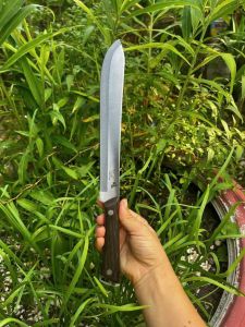 Dao cắt trái cây gọt hoa quả lưỡi dài bổ dưa Nhật Akatenki cán gỗ sắc khỏe tiện lợi