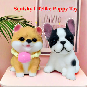 ZEEMIN Squeeze Toys Stress Reliever Gift Nontoxic Bouncy Dog Fidget Toy Reusable Rebound Puppy for Kid Sensory Play