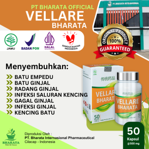 Obat Herbal Batu Ginjal Batu Empedu Kencing Sakit VELLARE BHARATA
