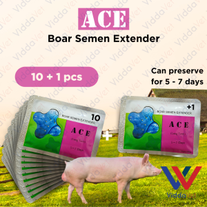 10+1 Viddavet Boar Semen Extender 5-7 days Ace boar medium term Boar semen for boar vim semen extender for pig
