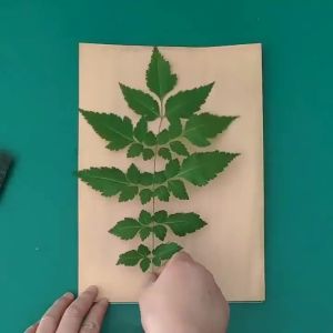 A4 Sun Activated Nature Print Paper Sun Activated SunCreations Cyanotype Paper High Sensitivity Sunprint Printing Paper 24pcs