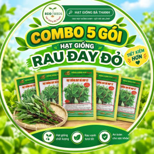 [EcoSeeds] Combo Tiết Kiệm 5 Gói Hạt Giống Rau Đay Đỏ Nông Hưng Phú - Lai Cao Sản Sinh Trưởng Khỏe - Gói 20g