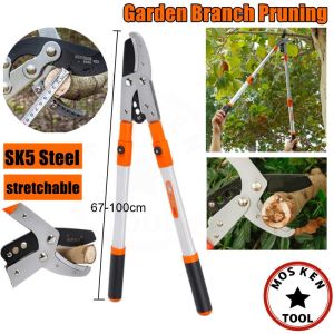 【Five-year warranty】กรรไกรตัดกิ่ง ตัดกิ่งไม้ ด้ามยาว ปรับความยาว 105 cm.  ใบมีดคม ทำจากเหล็ก SK5 แข็งแรง ทนทาน  น้ำหนักเบา แข็งแรงทนทาน อุปกรณ์แต่งสวน ตัดกิ่งไม้สูง ด้ามยาว ตัดแต่งกิ่งไม้ กรรไกรแต่งกิ่งไม้