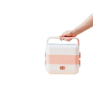 Mini Double layers  Electric Lunch Box Reheating Household Office Multi-Function Lunch Box Thermal Lunch Box Rice Cooker