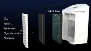 for Sharp Air purifier filter FZ-F30HFE FU-A28TA FP-J30TA FP-F30TA FP-GM30B-B KC-F30TA-W FZ-Y28FTA FP-JM30B-B Negative ions Air purifier Replacement HEPA Antibacterial Activated caFast shipping