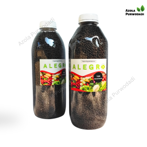 Pupuk Azolla | Pupuk Organik Alegro 1 kg | Pupuk Organik Padat untuk Azolla