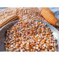 Jagung pipil kering 250 gram. 