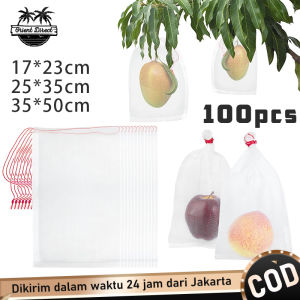 100pcs Fruit Cover Jaring Net Transparan Pembungkus Buah Anggur Brongsong Kelengkeng Jambu Mangga Klengkeng