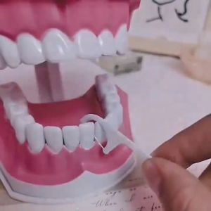 50Pcs/Box Teeth Toothpicks Stick Dental Floss Flosser Picks Tooth Clean Oral Care COD