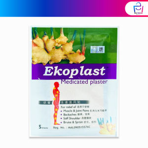 Ekoplast Ginger Medicated Plaster (5s)