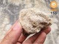 WINDERS Natural Batu Kemenyan Hitam Asli Hutan 黑晶体甘文烟 067 / 094 / 153. 