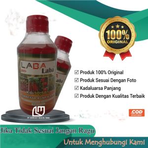 Pupuk KCL Cair Kalium Tinggi Laba Laba Pembesar Buah dan Umbi 1 Liter