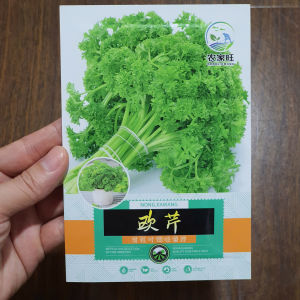 Hạt Giống Ngò Tây  hạt giống Rau Mùi Tây nhập khẩu nội địa Trung - Hoang My food and beauty