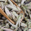 Bạch Trà Đuôi Rồng Cổ Thụ (Túi Hút Chân Không 50 Gram Dùng Thử). 