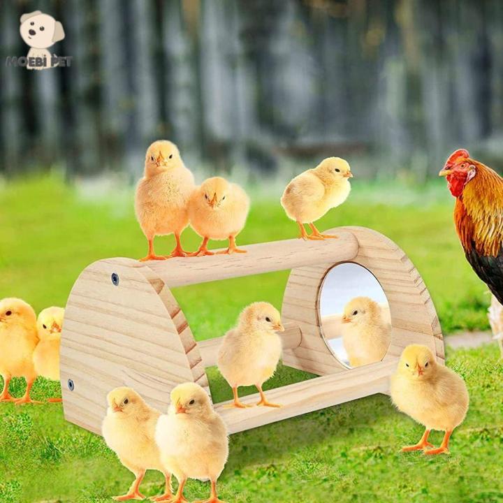 BENEDICT Coop Farm Trainning Ladder Toy Roosting Ducks Chick Perch