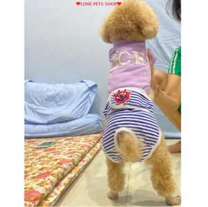 Quần sinh lý cho Chó cái có đai lưng bằng băng gai dán chắc chắn - Love pets shop