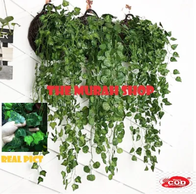 COD DAUN RAMBAT sintetis hiasan dinding hijang rak daun artificial monstera ivy anggur palsu/DAUN RAMBAT (1 SULUR/METER ) PLASTIK ARTIFICIAL ARTIFISIAL DEKORASI/DAUN RAMBAT PLASTIK IMITASI SIRIH GADING 100 DAUN ARTIFICIAL Terlaris
