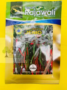 Benih Cabe Keriting JENIO Tavi isi 15gram Rajawali MANTAB