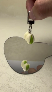 Creative Pistachios Shaped Key Rings Playful Pistachios Key Accessory Sturdy Keyrings Adornment for Office or Home