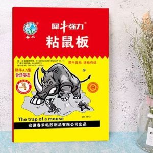 Complimentary gift mouse sticky rat trap board Long-Lasting Stickiness Catches Mice Rats & More