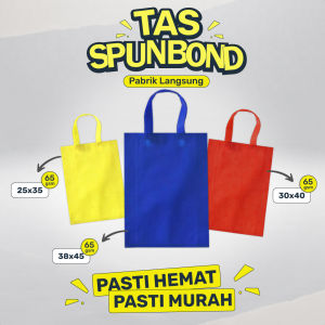 Tas Ecolunch Box Spunbond Multifungsi Warna-Warni 30x40x10cm (Isi 12 Pcs - H.LS30)