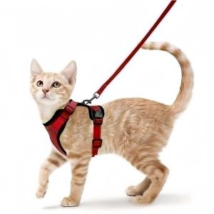 Reflective Cat Harness and Leash Set Breathable H-Shape Anti-Escape Cat Walking Harness