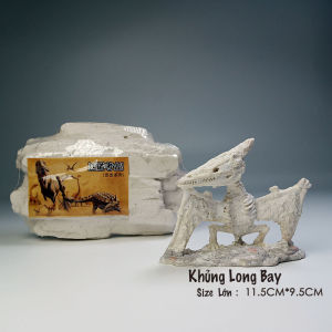 Giao Nhanh 2h Đào khảo cổ Hóa Thạch Khủng Long Size To (Tặng Kèm Bộ Dụng Cụ nhựa)  Đồ Chơi Thông Minh STEM Cho Trẻ.